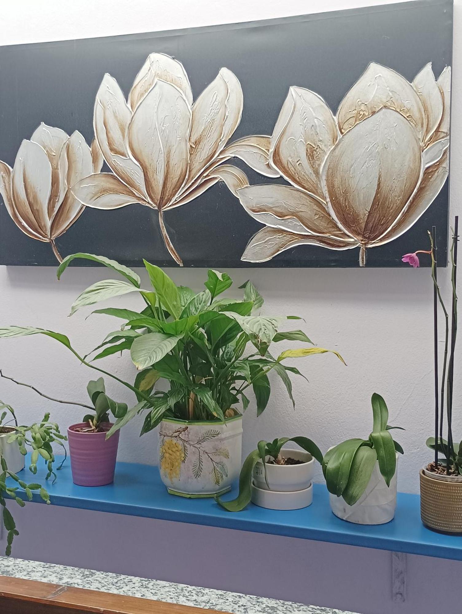 Bonate di Sopra Appartamento Il Giardino Dei Semplici Semplici מראה חיצוני תמונה